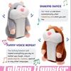 Hamster Learn To Imitate Talking,Funny Animal Plush Toy Talking Nod Hamster Doll Soothing Crying Baby Toy Kids Gift