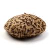 Universelle Chemie Leopardenfell Beige Baskenmütze
