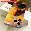2DFlat Bald Eagle at Sunset Perched on Rock All inclusive film hard iPhone case, compatible with iPhone 18 Pro Max 17 16 15 14 13 12 11