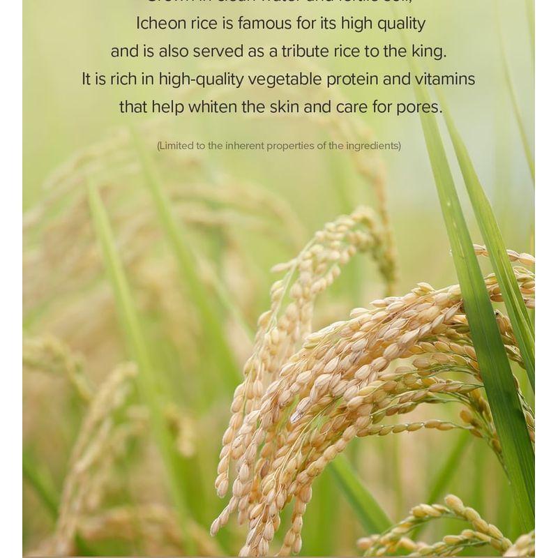 SKINFOOD - Rice Brightening Daily Mask