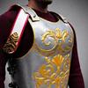 Roman Legionary Cuirass Armor with Gold Embossed Design Gladiator Chest Armor Costume