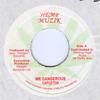 7inch Record CAPLETON  We Dangerous NONE Hemp Muzik Jamaica Reggae Ska  Dub Used