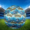 1pc Island Paradise Dolphins Durable Size 5 Soccer Ball Professional Match Training Football Indoor &Outdoor Sports Ball P60163