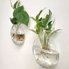 1pcs Wall-Mounted Glass Hanging Planter Set Clear Round Hydroponic Plant Vase for Indoor Home Decor & Small Green Plants
