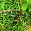 10Pcs Anti-Slip Fruit Tree Branch Puller High-Strength Branch Shaping Device  Outdoor Farm Planting