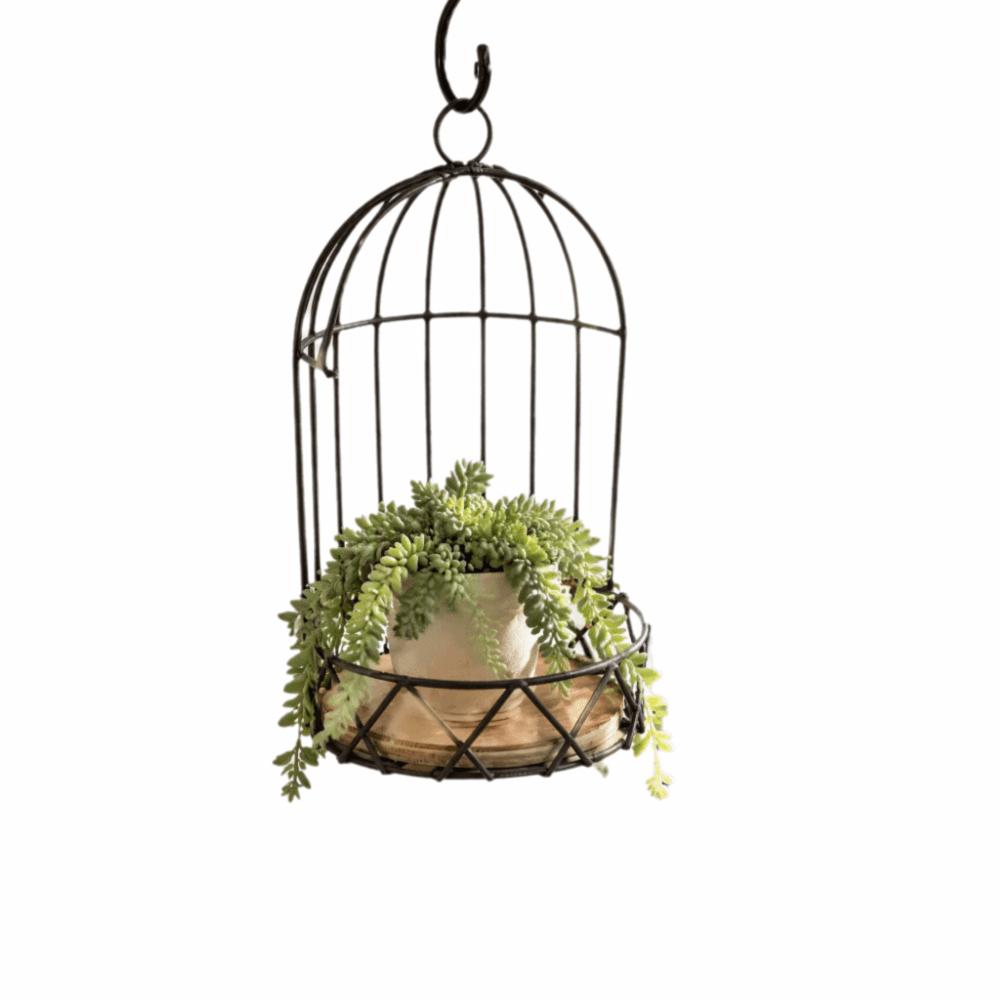 Vintage Birdcage Planter Stand Iron Frame,Wooden Board Bird Cage Table Decor  Vase Bouquet Display
