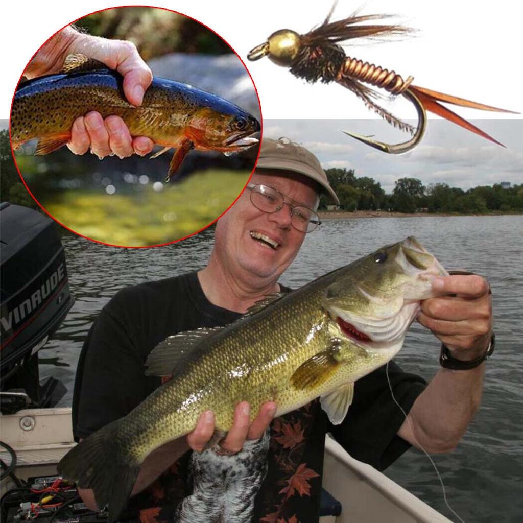 24Pcs Brass Bead Head Fly Fishing Lures Baits For Trout Fishing Baits With Flies Box