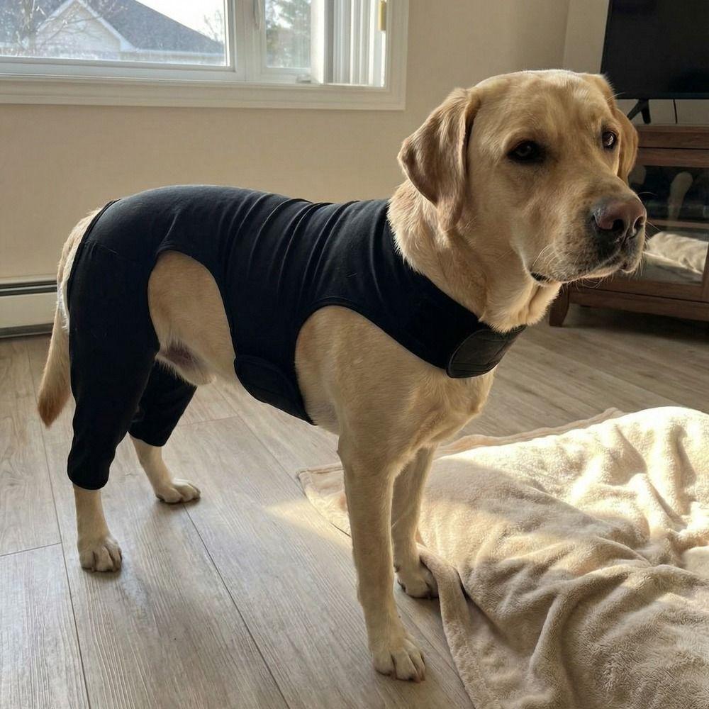 Adjustable Dog Leg Rehabilitation Suit Breathable Dog Knee Brace Wound Protection