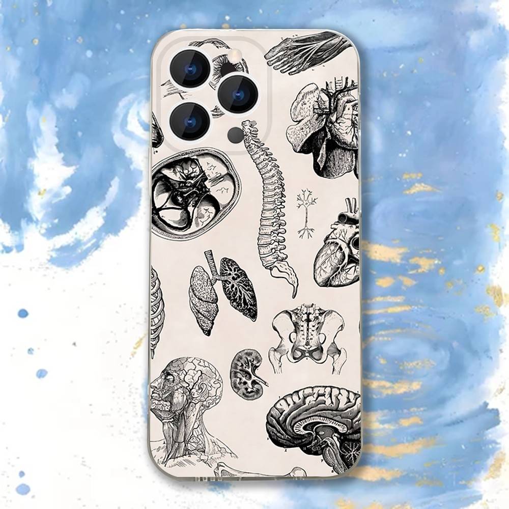 Medical Human A-Anatomy Clear Phone case suitable for iPhone 11 12 13 14 15 16 17 Pro Max Plus X XS XR SE E Mini Protective Case