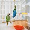 Pet Heating Pad Heated Bird Perch Parrot Cage Heater Bird Perch Stand Terrarium Accessories For Hammock Aviary Indoor Travel
