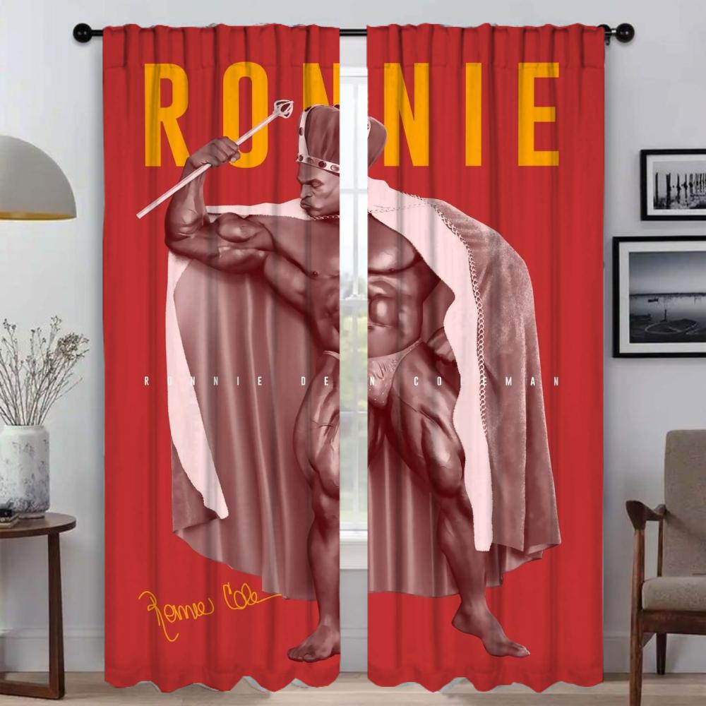 Shades Curtains Child Room Tulle for Bedroom Modern Living Room Curtains 2 Pieces Blackout Curtain Partition Kitchen Elegant