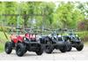 Children's Electric Beach ATV - 36V 800W All-Terrain Off-Road Recreational Vehicle