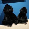 Chimpanzee Plush Toy - Soothing Companion for Children