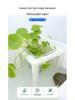 Hydroponic Plant Basket for Aquatic Tanks - Pothos Holder & Landscaping Decor
