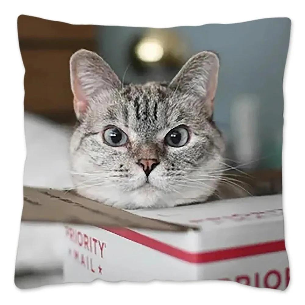 

Автомобільна вітальня диванна наволочка на подушку Різдвяний принт з котом Розкішна прикраса для дому Наволочка 12x12Inch