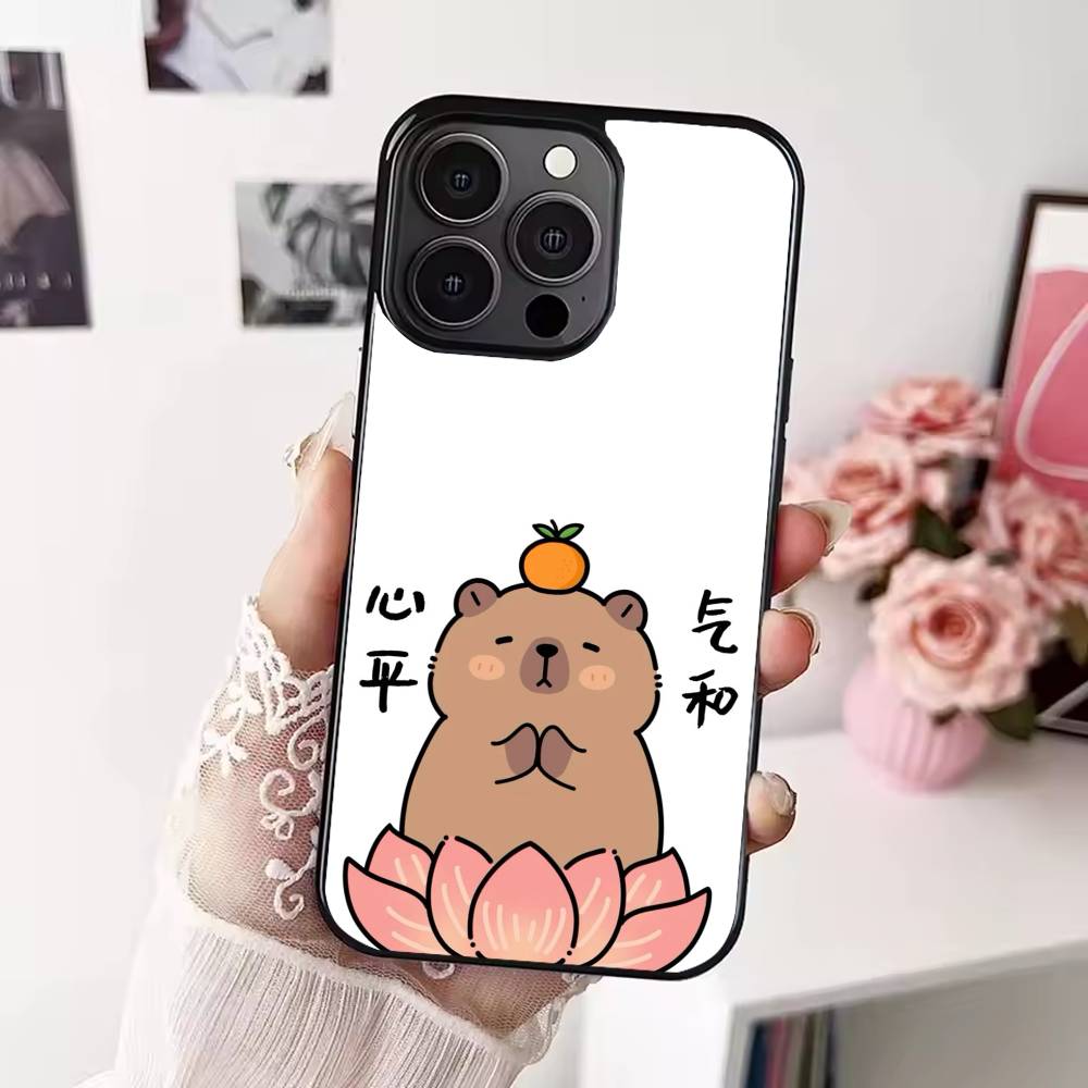 Cute C-Capybara Phone Case For iPhone 17,16,15,14,13,12,Plus,Pro,Max For Magsafe Magnetic Wireless Charge