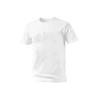 Men's Plain Short Sleeve T-Shirt & Shorts Set – Lightweight & Breathable Summer Sportswear.
