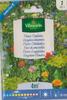Forgotten Flower Seeds