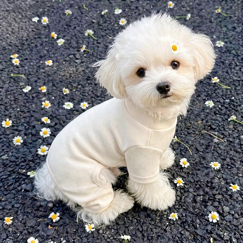Dog German velvet warm four-legged clothes autumn and winter than bear teddy small dog cat pet bottoming shirt loungewear