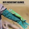 60Cm Length Pet Bite Tough Glove Extended Cuff Thick Cowhide Anti Scratch Glove Tear Proof Sturdy Texture
