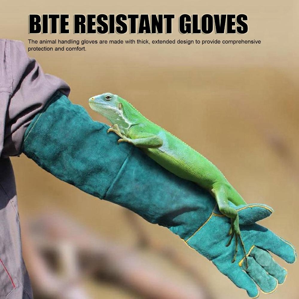 60Cm Length Pet Bite Tough Glove Extended Cuff Thick Cowhide Anti Scratch Glove Tear Proof Sturdy Texture
