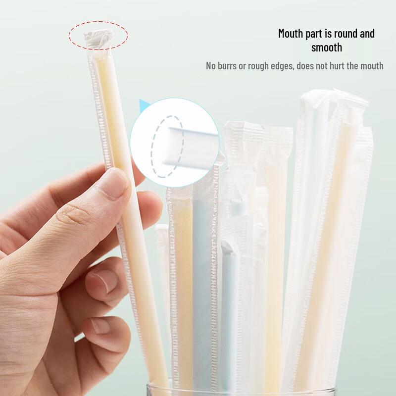 Chahua Disposable Straws Combo Pack