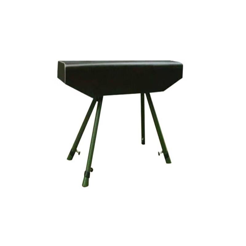 Zushuo Professional Gymnastics Training Equipment