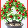 Artificial Money Tree with Green Leaves - Dining Table Ornament and Rich Fruit Bonsai Decoration