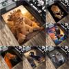 Animal Rug - Home Carpet Office Decorative Carpet For Living Room Bedroom Door Mat Floor Rug Computer Chair Area Rug
