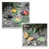 Simulation Insect Model Butterfly Growth Cycle Figurine Kids Educational Toy