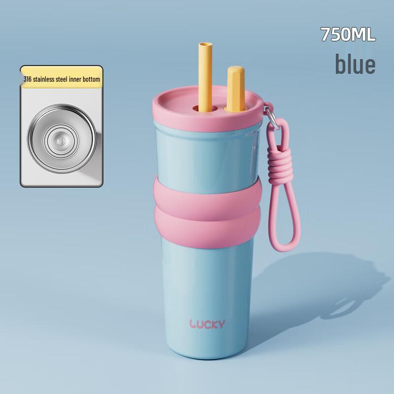 HDST 750ml 316 Stainless Steel Insulated Straw Cup