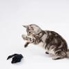 False 5pcs Toy Mouse Cat Longhaired Tail Mice With Sound Plush Soft Mouse Toys For Cats Biteresistant Kitten Playing Toys