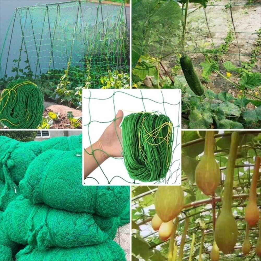 1.25inch Mesh Anti Bird Netting Nylon Material Orchard Net  Orchard Protection