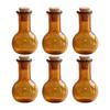 6Pcs Mini Glass Bottles with Cork Bottle Wishing Bottle Little