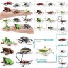 Lifelike Pvc Insect Models Including Grasshoppers And Frogs Ideal For Educational Purposes