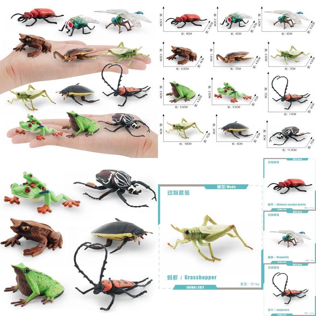 Lifelike Pvc Insect Models Including Grasshoppers And Frogs Ideal For Educational Purposes