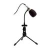 RODE Microphones GN1 Gooseneck Microphone Stand for NT6