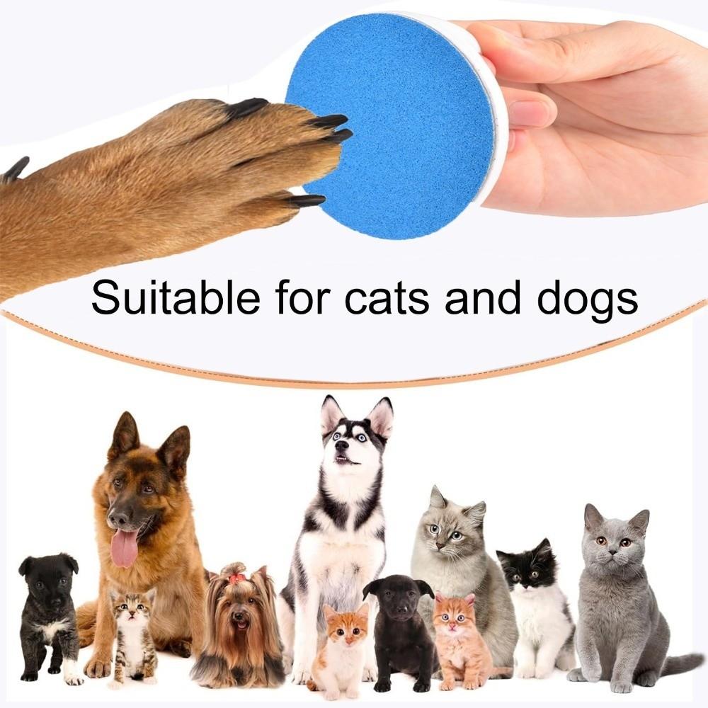 Professional Cat Nail Scratch Board Portable Handheld Cat Grooming Tool Indoor Pet Care