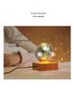 Romantic Starry Sky LED Night Light - Dreamy Bedside Lamp for Sleep Ambiance