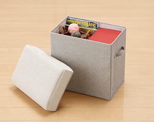 Pearl Metal SPACE-KIT Storage Box, Folding Stool/Ottoman, Medium Size, High Type, Gray, N-7822