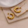 Stainless Steel New Earrings Women's Characteristics Niche Design Croissant Twist Earrings