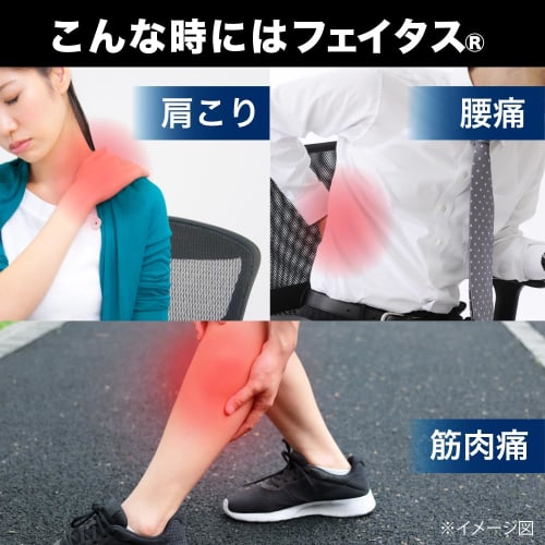 [Category 2 OTC Drug] Feitas 5.0 Warming Large Size 20 Sheets