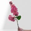 Plastic Fake Flower Pink Artificial Silicone Lilac Flower Purple 75 Cm Artificial Faux Plants Simulation Wedding Decoration