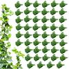 Plant Clips For Climbing Invisible Adhesive Reusable Butterfly Indoor Plant Climbing Fixture Clips For Pothos Clematis Home