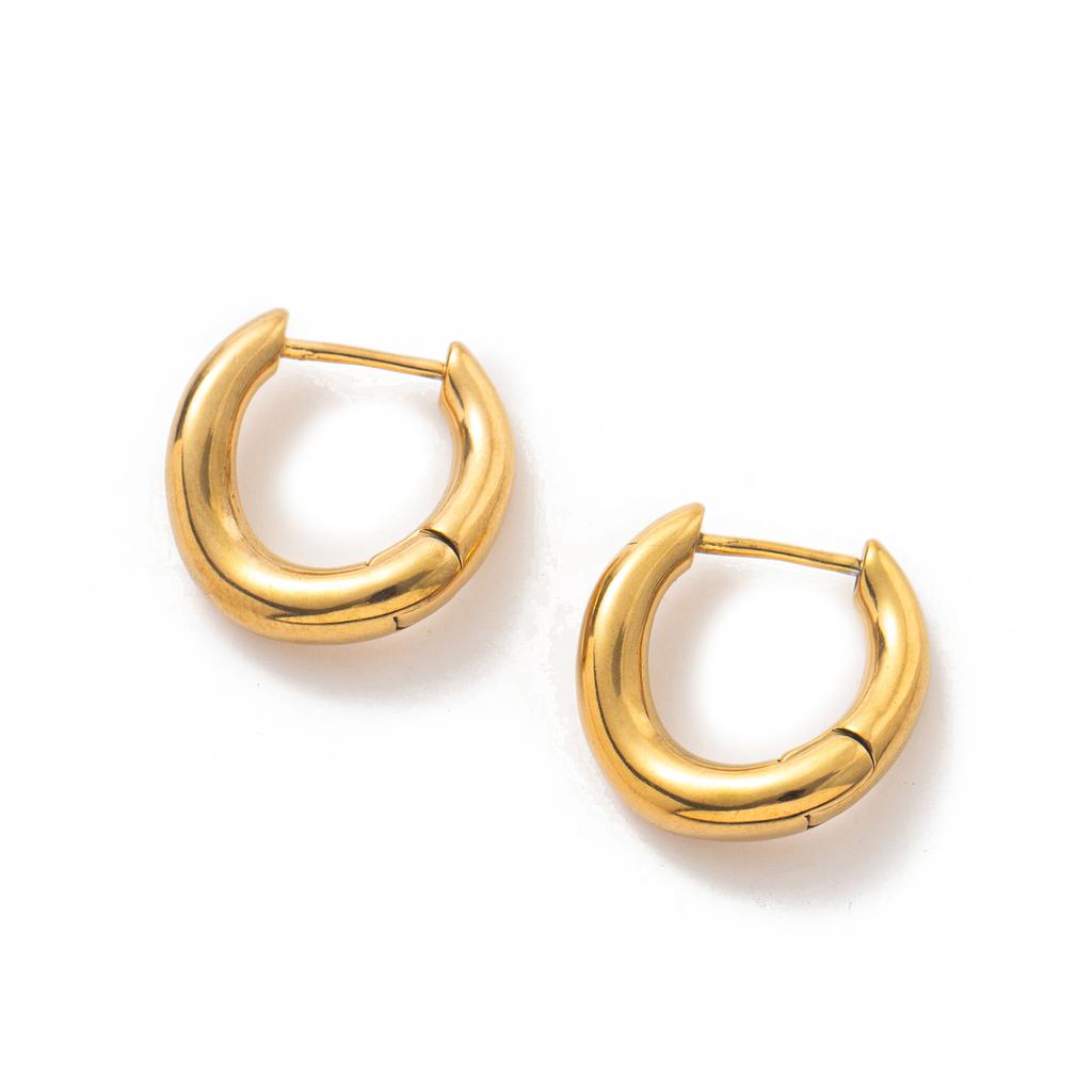 Irregular Curved Earrings and Earrings Made of Stainless Steel Material Plated with 18k Gold Color Protection