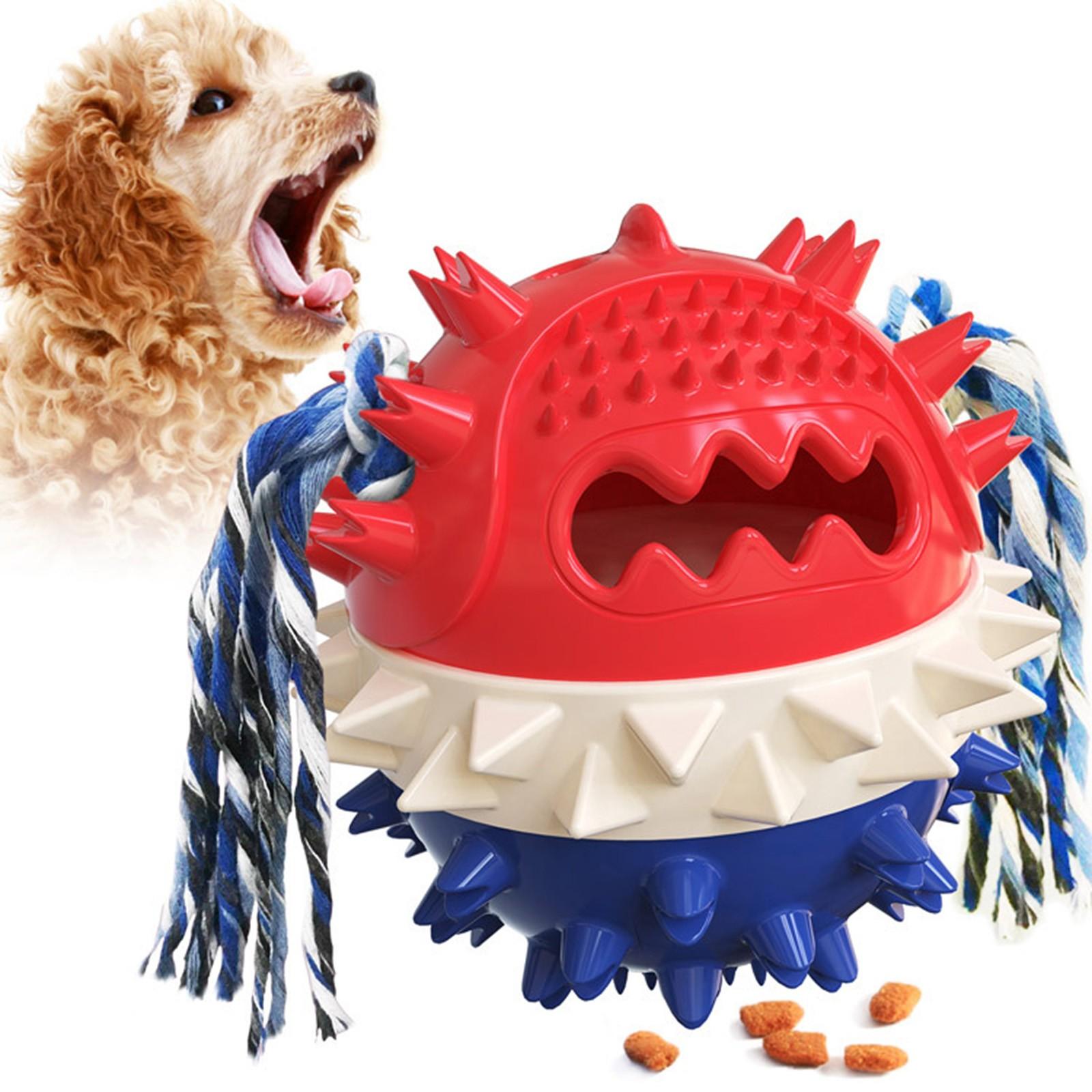 Interactive Tough Puppy Toy With Rope, Molar Squeaky Bouncing Ball Toy