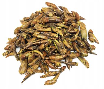 Whole Dried Black Poplar Buds 50G 100%
