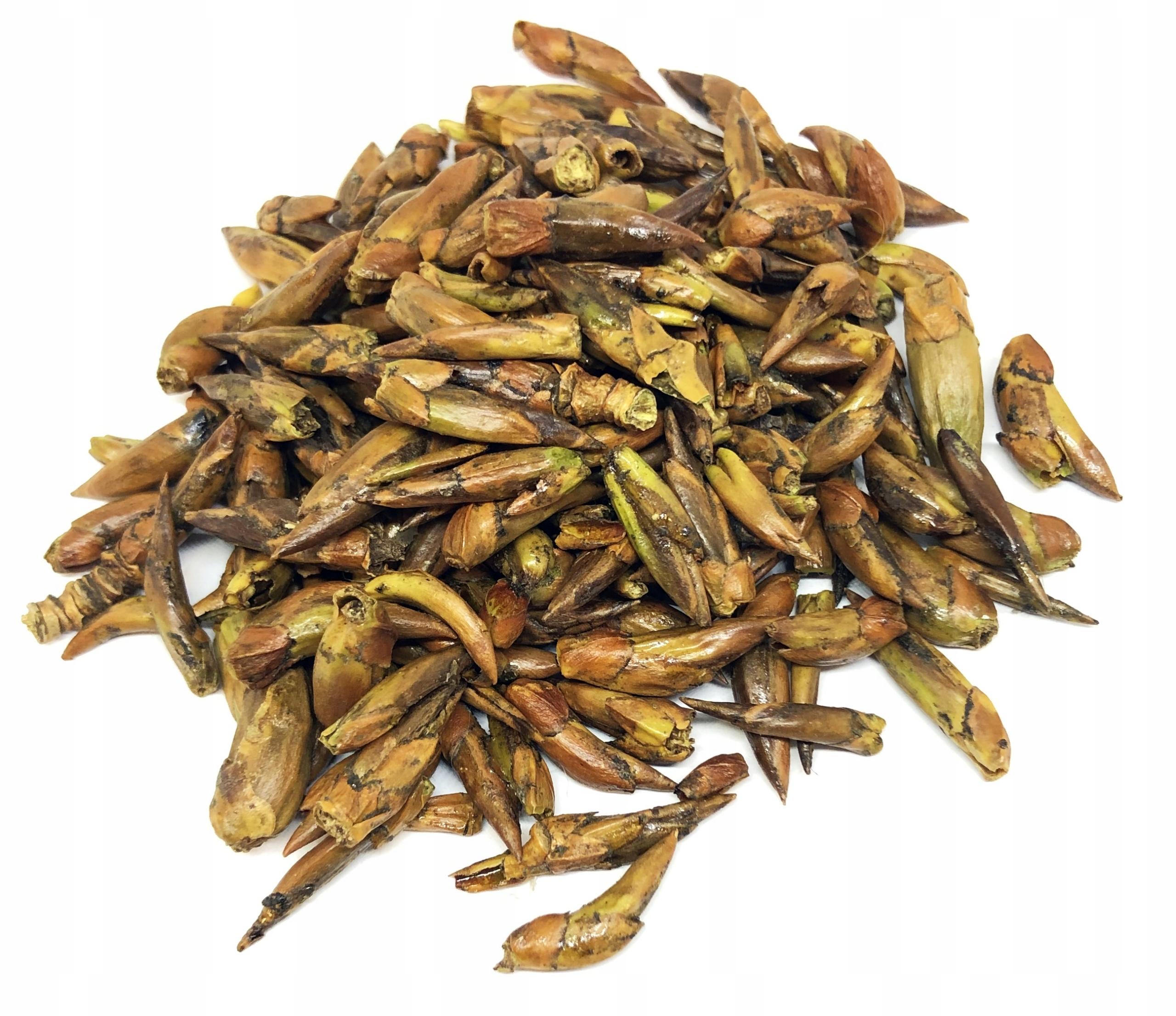 Kaltēti melnā apses pumpuri 1 kg