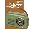 Radio Portable - LEDWOOD - ALMA - FM - Bluetooth - 30W - Vert Olive
