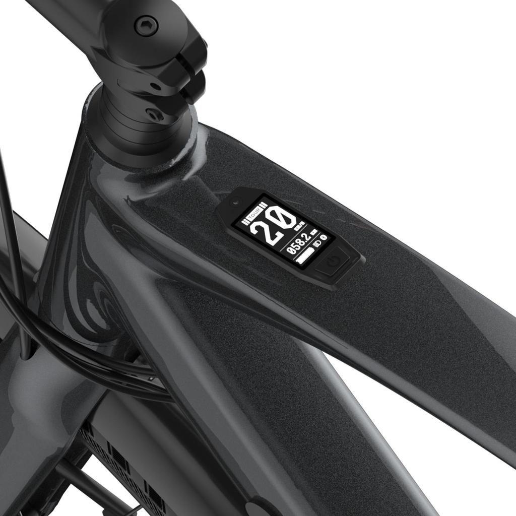 Electric Bicycle FAFREES 250W Motor City Ebike Top Speed 25Km/h 36V 10AH Max Range 100Km 9 Speed F700W